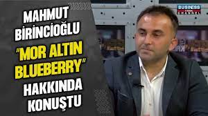 MAHMUT BİRİNCİOĞLU “MOR ALTIN BLUEBERRY” HAKKINDA KONUŞTU…