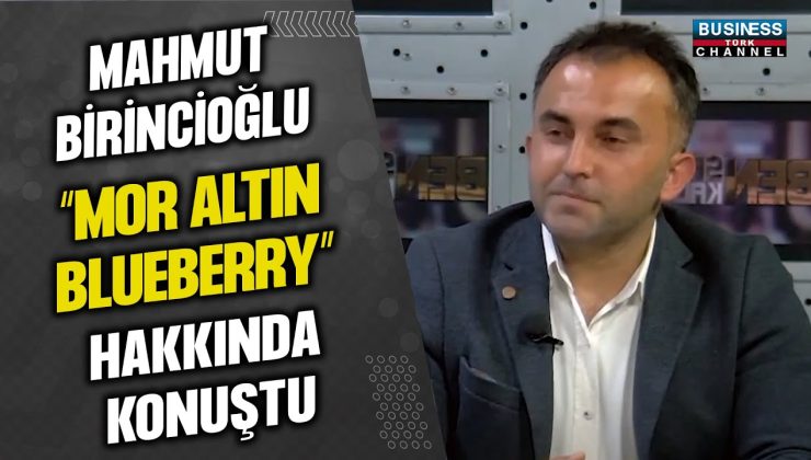 MAHMUT BİRİNCİOĞLU “MOR ALTIN BLUEBERRY” HAKKINDA KONUŞTU…