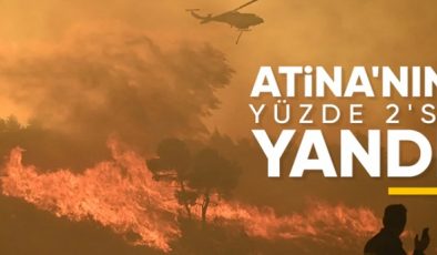 Yunanistan’da Orman Yangınları: Attica Bölgesinin Yüzde 2,5’i Yandı