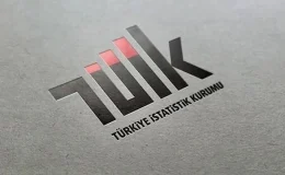 TÜİK Haziran 2024 İşsizlik Verilerini Açıkladı