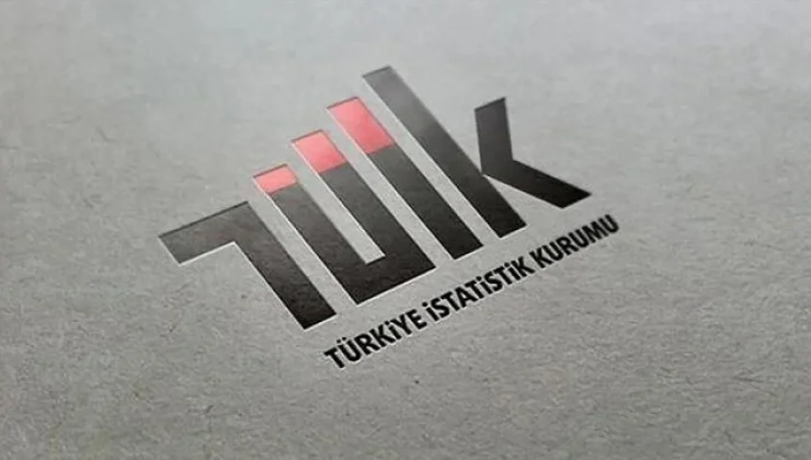 TÜİK Haziran 2024 İşsizlik Verilerini Açıkladı